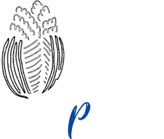 白菜倶楽部イメージ